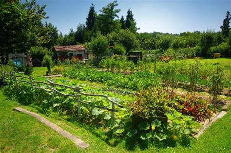10 Expert Tips To Help You Create Your Dream Garden Ready Gardens By