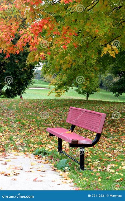 Autumn Landscape With A Red Bench Stock Image Image Of Fallen Park
