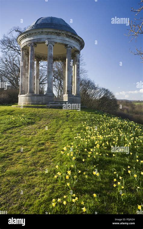 The Rotunda Built In 1766 And Daffodils In The Park At Petworth House