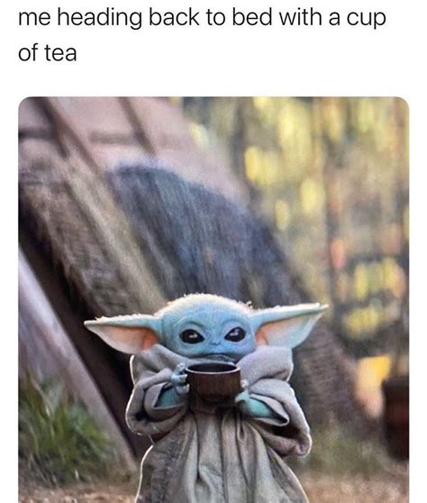 50 Baby Yoda Memes That Will Make Your Day Exponentially Better Star
