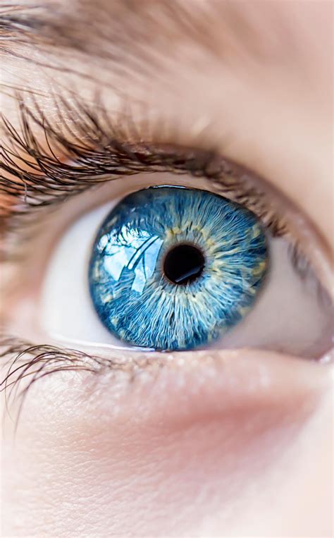 Stunning Blue Eyes Contact Lenses Uk Buy Online Contact Lenses Uk