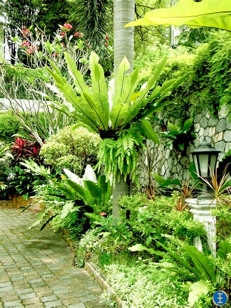 Browse tropical landscapes and gardens. CHRISTOPHER ONG - My Footsteps. My Dreams. Beautiful ...
