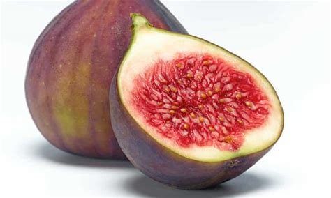 In Praise Of English Figs Editorial The Guardian