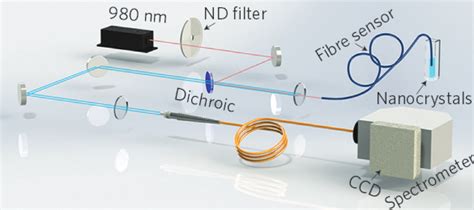 Fiber Opticnanocrystal System Enables Live Nanoscale Sensing Kurzweil
