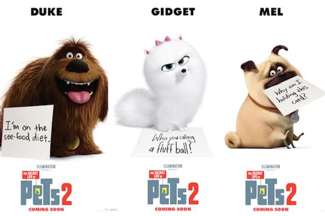 Universal Pictures And Illuminations The Secret Life Of Pets 2