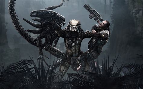 Predator central offers lists, videos and lore explanations about the alien, predator, avp and prometheus movies, games, books and graphic novels. Aliens vs Predator Wallpaper (75+ images)