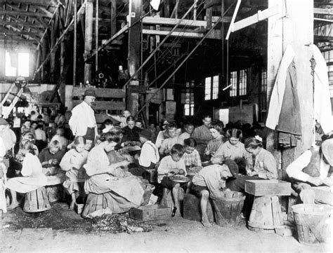 Child Labor 1912 Nchildren Working In A Vegetable Cannery In