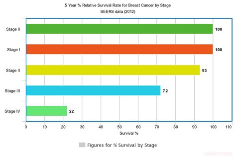 Breast Cancer Metastasis Survival Rates For Stage Iv