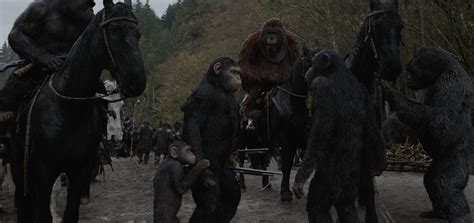 Cesare (andy serkis) e le sue scimmie sono costretti ad un fatale scontro con un esercito di esseri umani guidati da uno spietato colonnello (woody harrelson). The War - Il pianeta delle scimmie (2017) Recensione | Quinlan.it