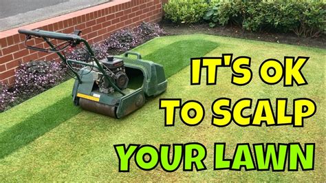 Mid Summer Lawn Tips Scalp Your Lawn This August Youtube