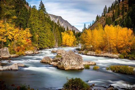 Wenatchee River During The Fall Stock Image Image Of Nature Tourism