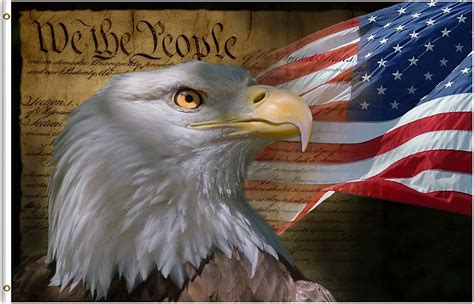Amazon Com Shinesnow Usa Vintage American Flag Bald Eagle Th Of July Memorial Independence