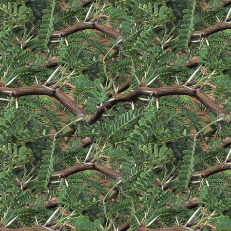 Fractal Mesquite Camouflage Pattern