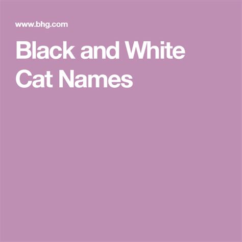 50 Perfect Black And White Cat Names For Your Two Toned Kitty Black