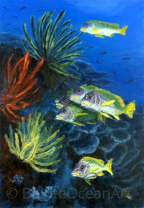 Blue Striped Grunts Near Soft Coral Sea Life Art Business Underwater
