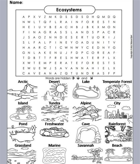 Printable Worksheets On Ecosystems