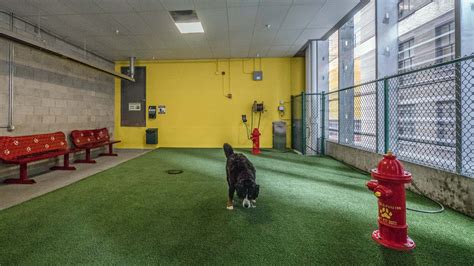After initiating the social link the fox will offer a full. dogparks in rooftop terraces - Google Search | Dog area ...