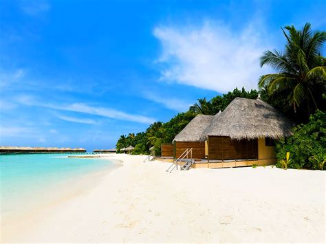Beach Bungalows On The Tropical Island Wallpaper Beach Wallpapers