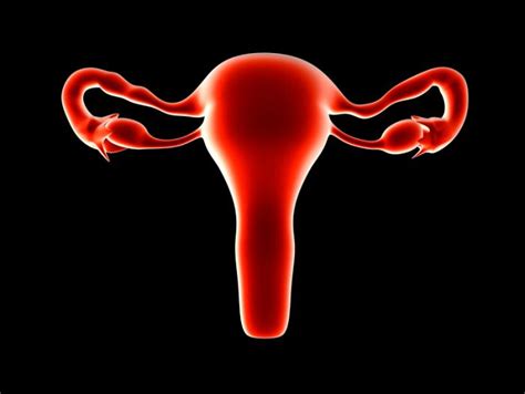 Ovarian Cancer Immunotherapy May Overcome Chemotherapy Resistance