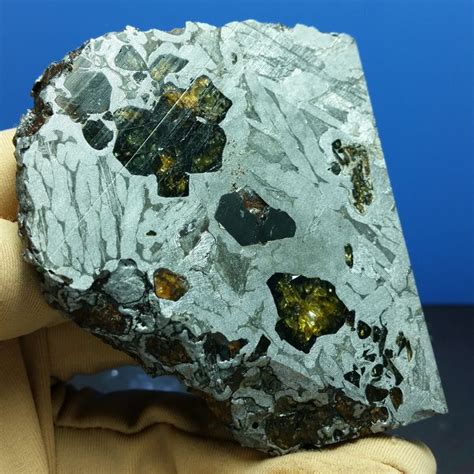 Seymchan Meteorite Slice Pallasite With Olivine 2385gm Catawiki