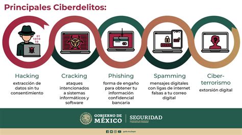 Delitos Cibernéticos Secretaría De Seguridad Y Protección Ciudadana