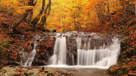 Free Download Autumn Wonderland 3d Screensaver And Animated Wallpaper