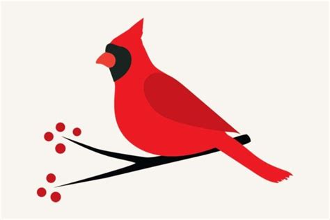 Cardinal Bird Svg Graphic By Magnoliamoonart · Creative Fabrica