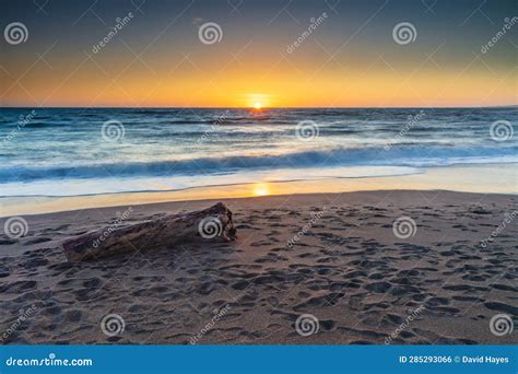 Beach At Sunset Log On Empty Beach With Footprints Sun On The Horizon