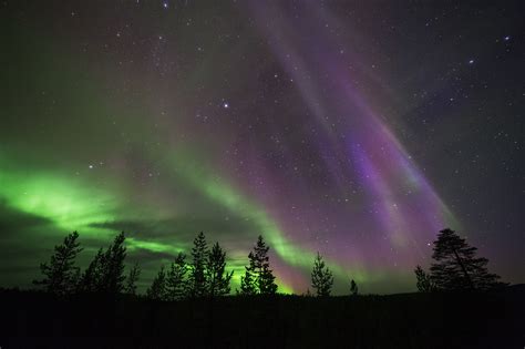 Northern Lights Show In Whitefish