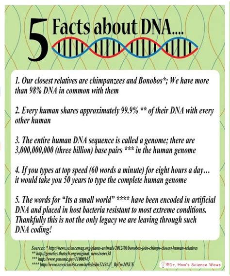 fun friday five fantastic facts about dna and how to extract dna from a banana dr how s