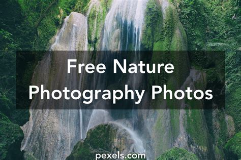 1000 Engaging Nature Photography Photos · Pexels · Free Stock Photos