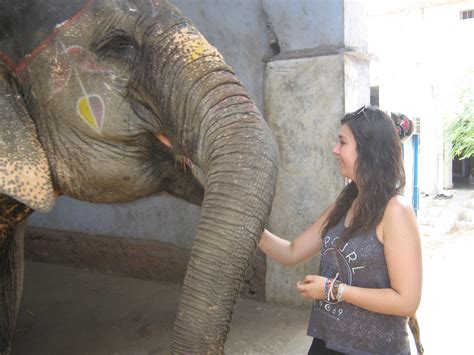 Elephant Sanctuary Volunteer Work With Elephants Volunteer With