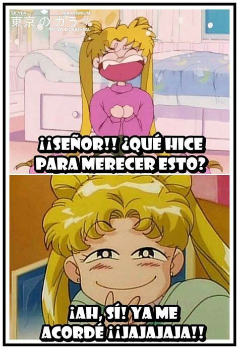 Pin De Raquel En Meme De Anime Meme De Sailor Moon Chistes