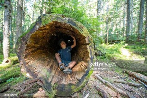 gaping hole photos and premium high res pictures getty images