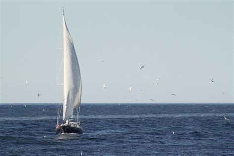 Sailingtakes Me Awayfrom Where Im Going Liz Greeley Flickr
