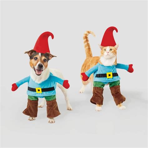 Gnome Dog And Cat Costume Best Target Pet Halloween Costumes 2019