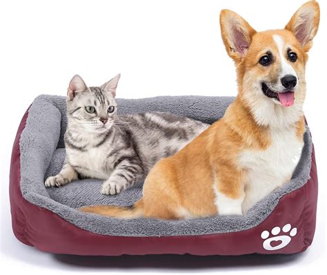 Zzbbc Cat Bed For Indoor Cats Kitten Bed Machine Washable Ultra