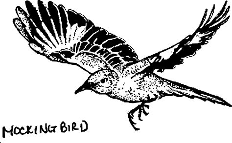 Png Mockingbird Transparent Mockingbirdpng Images Pluspng