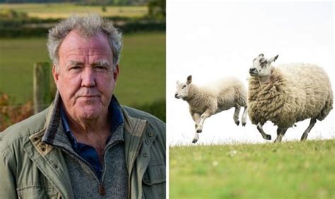 Clarkson S Farm Has Jeremy Clarkson Given Up His Sheep TV Radio