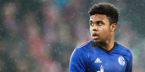 Sampdoria | serie a highlights. Weston McKennie living dream Schalke breaking through for ...