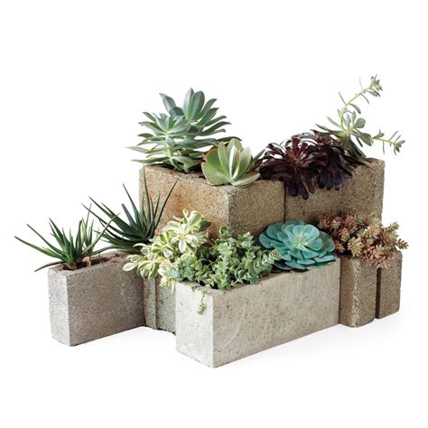 Modular Succulent Planters Martha Stewart