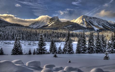 Nature Landscapes Mountains Trees Forest Wood Winter Snow