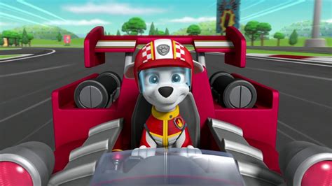 The Winner Of The Race Is Marshall Paw Patrol Ready Race Rescue 2019