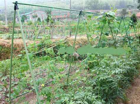 A garden is a planned space, usually outdoors, set aside for the display, cultivation, or enjoyment of plants and other forms of nature. 1.8X2.7 Garden Net Vine Plant Climbing Net Nylon Net for ...