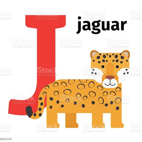English Animals Zoo Alphabet Letter J Stock Illustration - Download