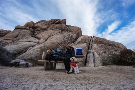 Camping At Joshua Tree National Park And Indian Cove Campground Trail