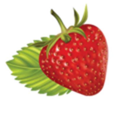 Strawberry Clipart | Gallery Yopriceville - High-Quality Free Images
