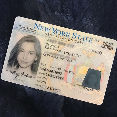 K80schmid Passport Pictures Drivers License Pictures License Photo