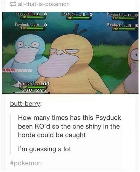 Shiny Psyduck Psyduck Pokemon Memes Pokemon