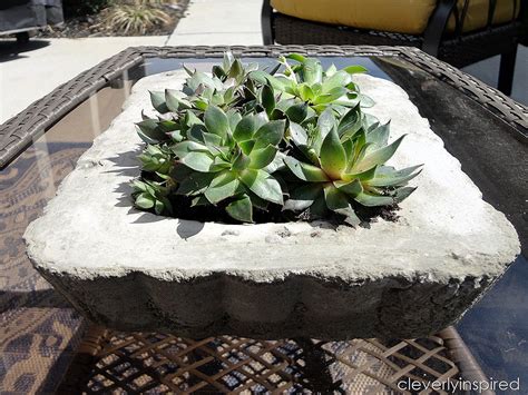 How to make a large cement pot at home? DIY Concrete Tray Planter (video tutorial) - Cleverly Inspired